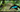 Vol. 10 // This black-and-neon blue bird looks like a crescent moon 🌛