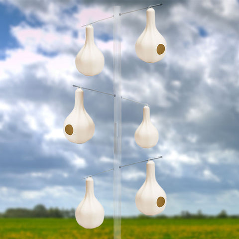 Wild Bird Lover's Single Purple Martin Gourds, Pack of 6 Flying Colors