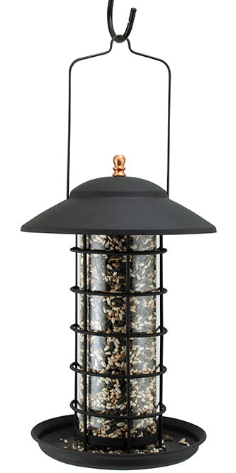 Woodlink Metal & Glass Lantern Bird Feeder, Matte Black Flying Colors
