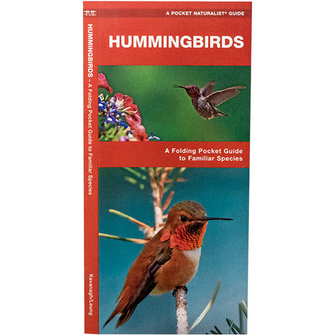 Waterford Press Hummingbirds Booklet Flying Colors