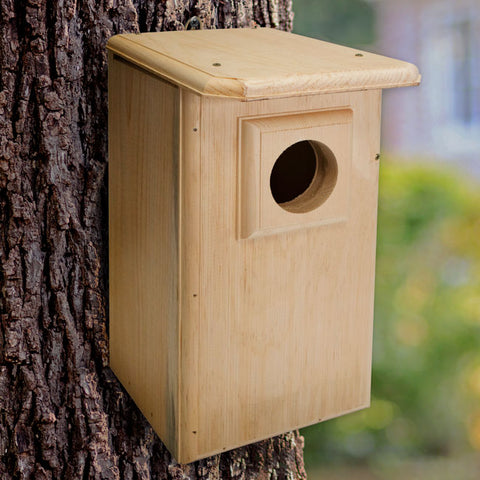 Coveside Saw-Whet and Screech Owl House Flying Colors