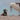 Vol. 60 //  When I became a birder...