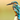 Vol. 61 //  Radical idea to save endangered birds