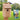Woodlink Classic Bluebird House DIY Craft Kit Flying Colors