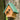 Wren / Chickadee Houses