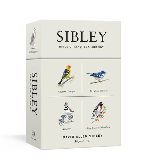 Sibley Birds of Land, Sea, and Sky - 50 Postcards (Sibley Birds)
