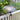 Achla African Daisy Bird Bath with Over Rail Bracket Flying Colors