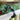 Achla African Daisy Bird Bath with Over Rail Bracket Flying Colors