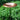 Achla Hammered Copper Bird Bath Flying Colors