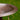 Achla Extra Large Metal Bird Bath w/Post Mount, Copper Color Flying Colors