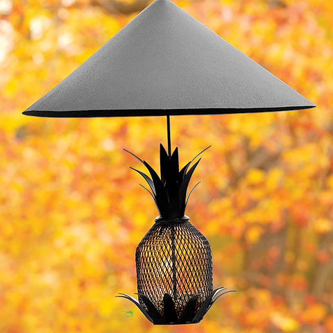 Achla Hanging Squirrel Baffle, Black, 18.25" dia. Flying Colors