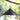 Achla Hanging Squirrel Baffle, Black, 18.25" dia. Flying Colors
