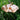 Achla Hummingbird Bird Bath and Stake, Copper Flying Colors