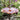 Achla Hummingbird Bird Bath and Stake, Copper Flying Colors