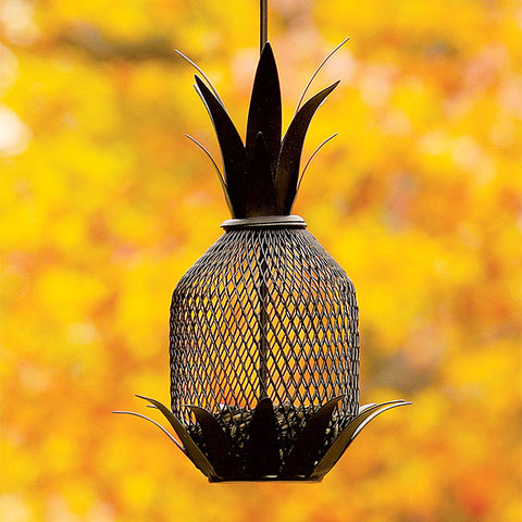 Achla Pineapple Bird Feeder, Black Flying Colors