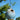 Anthony Stoneware Bird House, Small, French Blue Flying Colors