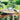 Allied Precision Solar Powered Water Wiggler Flying Colors