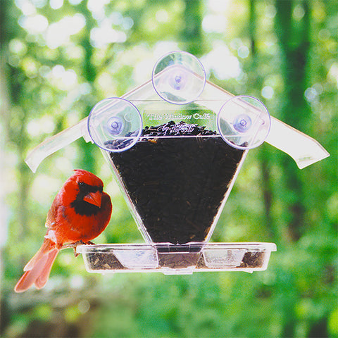 Aspects Window Café Transparent Window Feeder Flying Colors