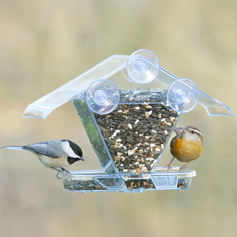 Aspects Window Café Transparent Window Feeder Flying Colors