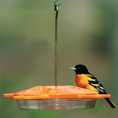 Aspects Oriole Feeder, 16 oz. Flying Colors
