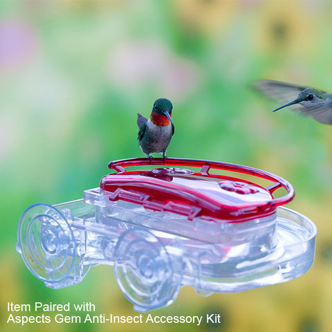 Aspects Gem Window Hummingbird Feeder, 4 oz. Flying Colors