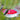 Aspects Gem Window Hummingbird Feeder, 4 oz. Flying Colors