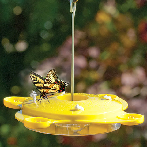 Audubon Classic Butterfly Feeder Flying Colors