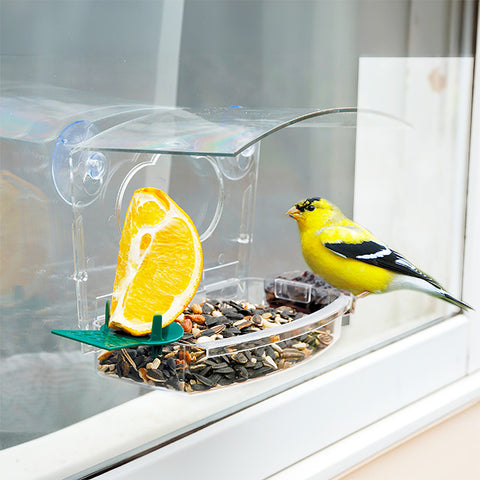 Audubon Mixed Treat Window Feeder Flying Colors