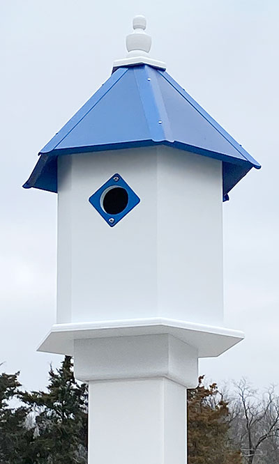 Wing & A Prayer Sycamore Bird House, Cobalt Blue Roof Flying Colors