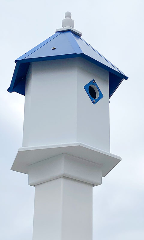 Wing & A Prayer Sycamore Bird House, Cobalt Blue Roof Flying Colors