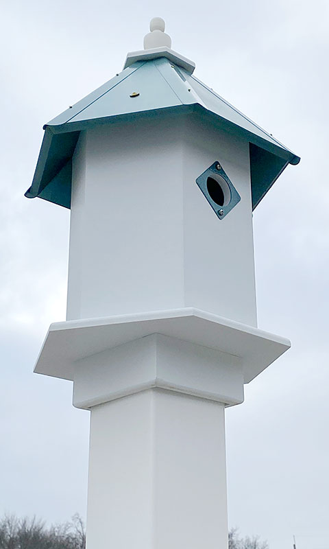 Wing & A Prayer Sycamore Bird House, Verdigris Roof Flying Colors