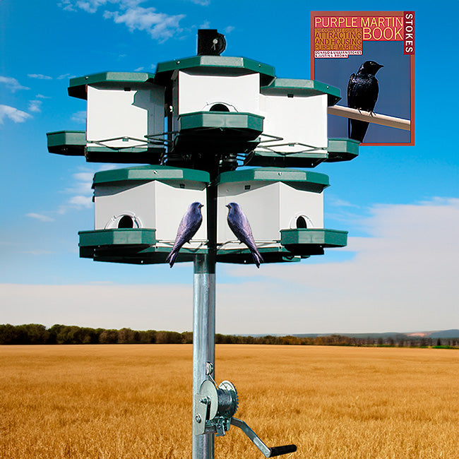 Heritage Farms Quad Pod Purple Martin House Package, 8 Room Flying Colors