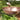 Achla Heart-Shaped Bird Bath, Copper Colored Flying Colors