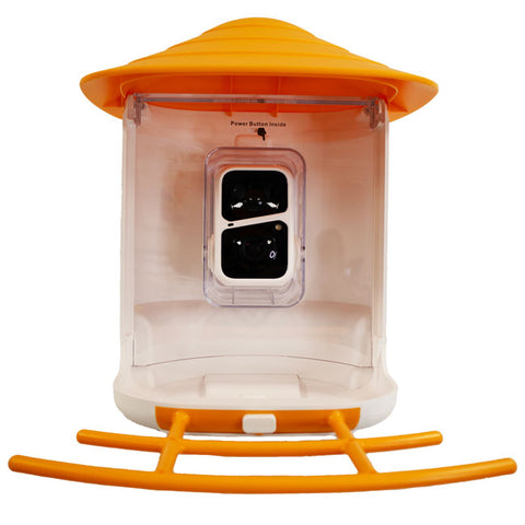 BeakView Bird Feeder Camera Flying Colors