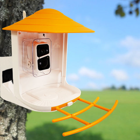 BeakView Bird Feeder Camera Flying Colors