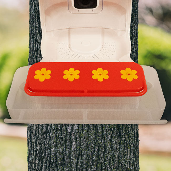 BeakView 4 Port Hummingbird Feeder Attachment, 12 oz. Flying Colors