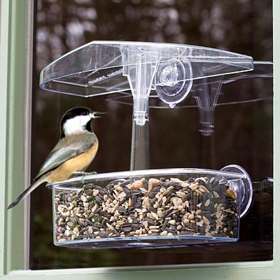 Droll Yankees Observer Window Bird Feeder Flying Colors