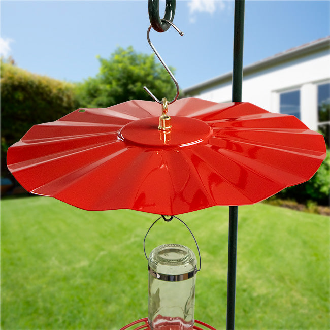 Erva Hummingbird Weather Guard, Red, 14" dia. Flying Colors