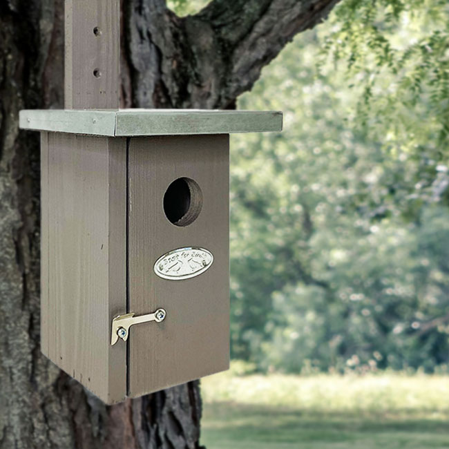 Esschert Design Wren Nest Box with Metal Roof, Gray Flying Colors