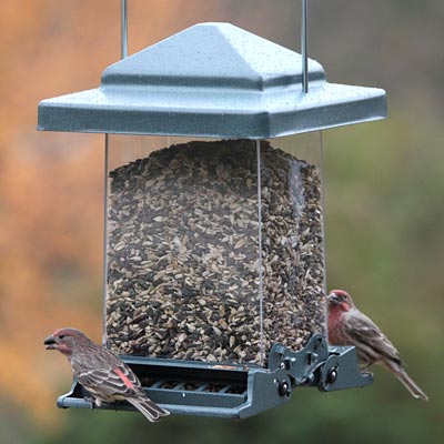 Heritage Farms Vista Squirrel Proof Bird Feeder Flying Colors