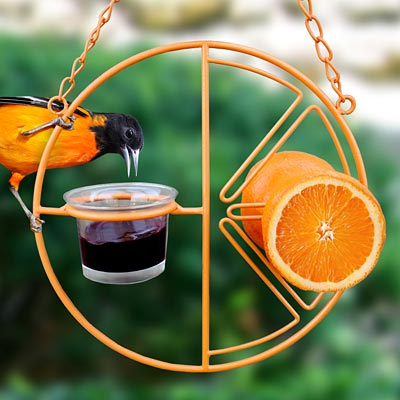 Heath Clementine Fruit and Jelly Oriole Feeder Flying Colors