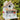 Home Bazaar Backyard Bird Cottage, White Flying Colors