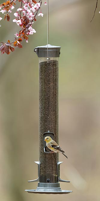 More Birds SureFill Metal Thistle Tube Bird Feeder Flying Colors