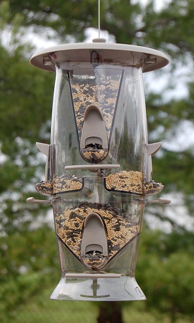 More Birds Abundance Bird Feeder Flying Colors