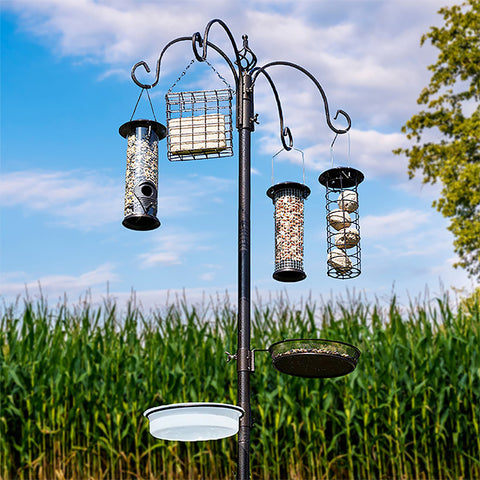Jester Premium Bird Feeding Station w/Feeders, Black, 7'6.5" Flying Colors