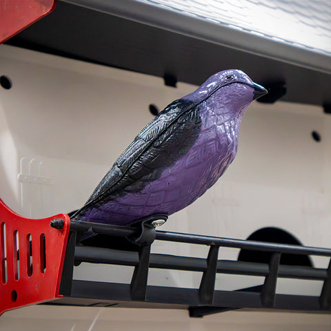 S&K Purple Martin Decoy Flying Colors