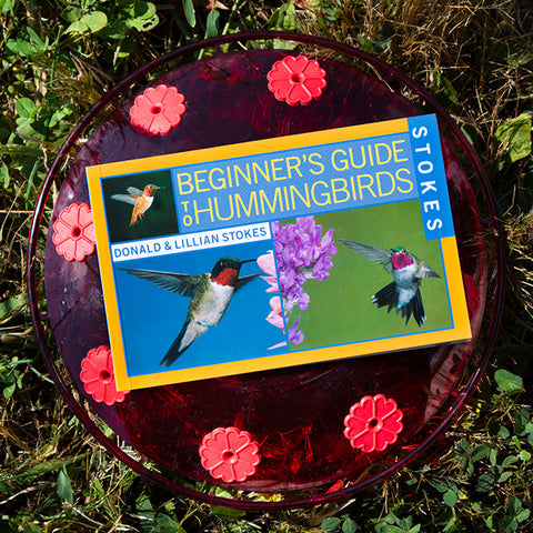 Stokes Beginner's Guide to Hummingbirds Flying Colors