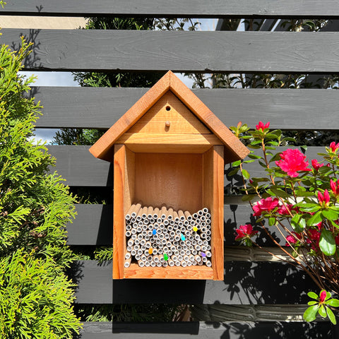 Spring Cardboard BeeTubes and Inserts for Mason Bees - 8mm