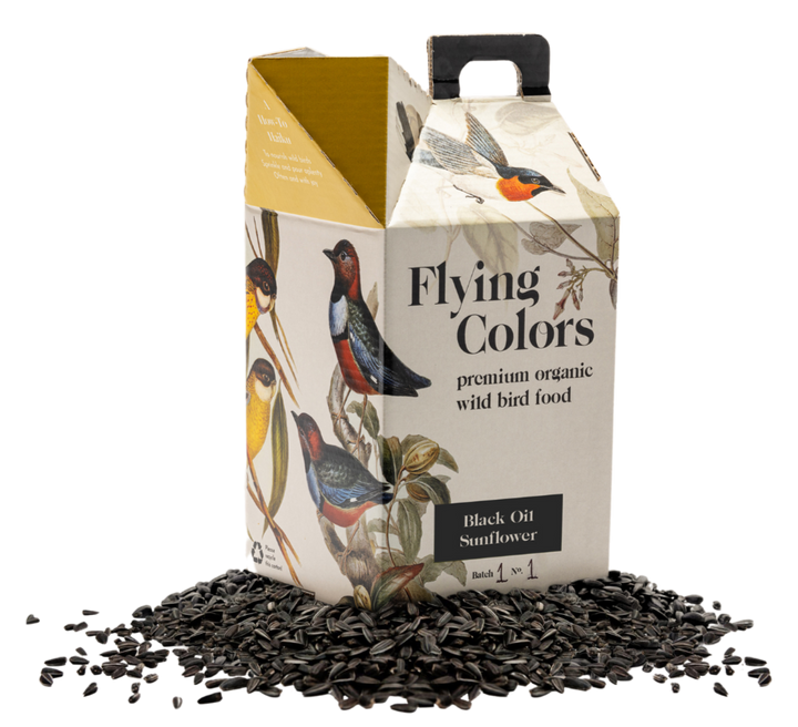 Black Oil Sunflower