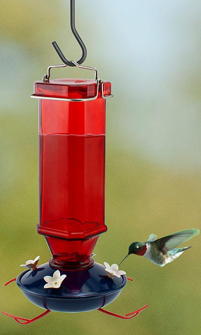 Woodlink Patriotic Vintage Glass Hummingbird Feeder, 16 oz. Flying Colors